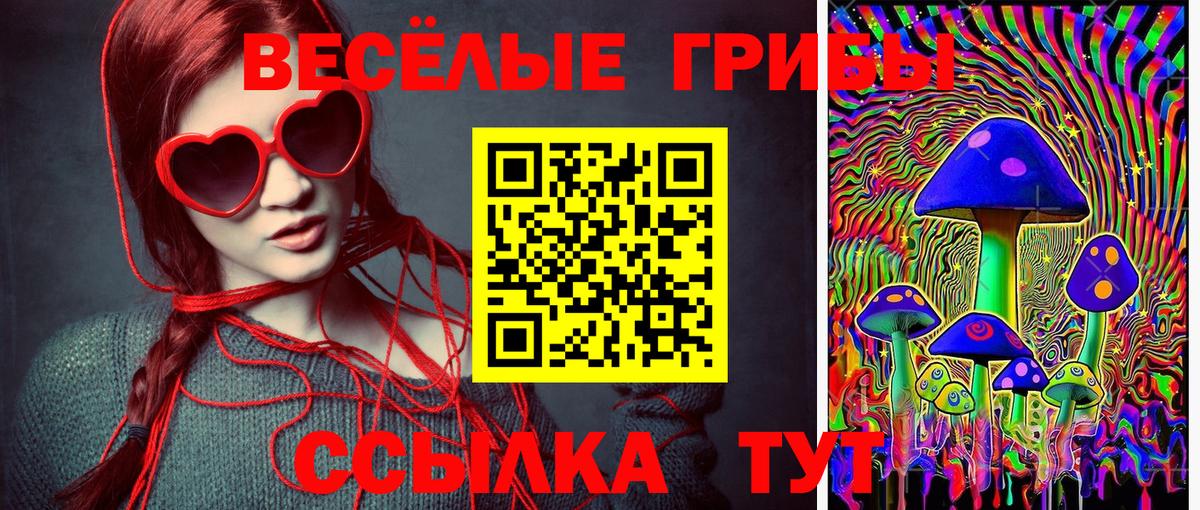Псилоцибиновые грибы Cubensis  Галлюциногенные грибы Psilocybine cubensis  Вход с VPN  Санкт-Петербург 